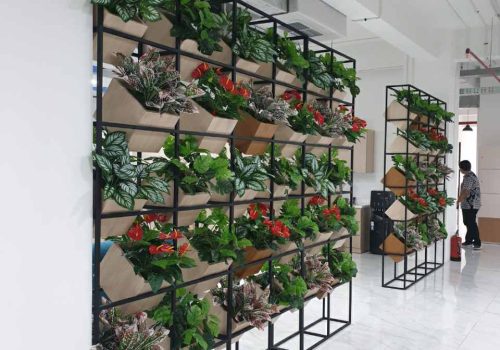 Dekorasi Rooftop dengan Tanaman Artificial Lidah Mertua (Sansevieria ...