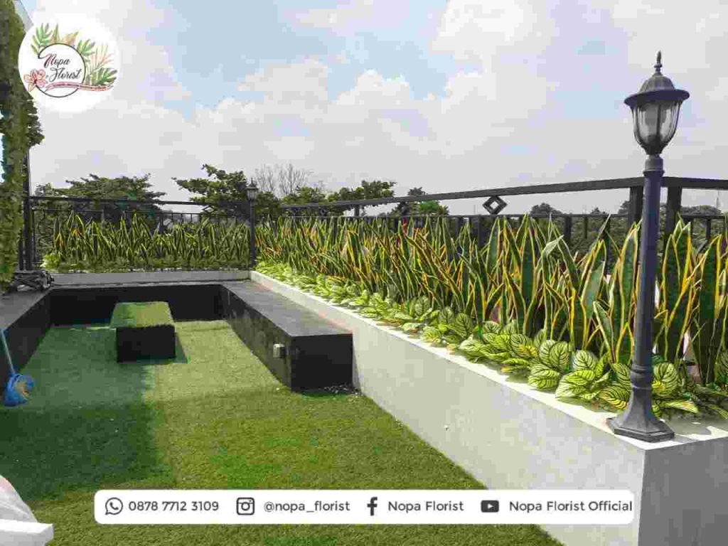 Dekorasi Rooftop dengan Tanaman Artificial Lidah Mertua (Sansevieria)