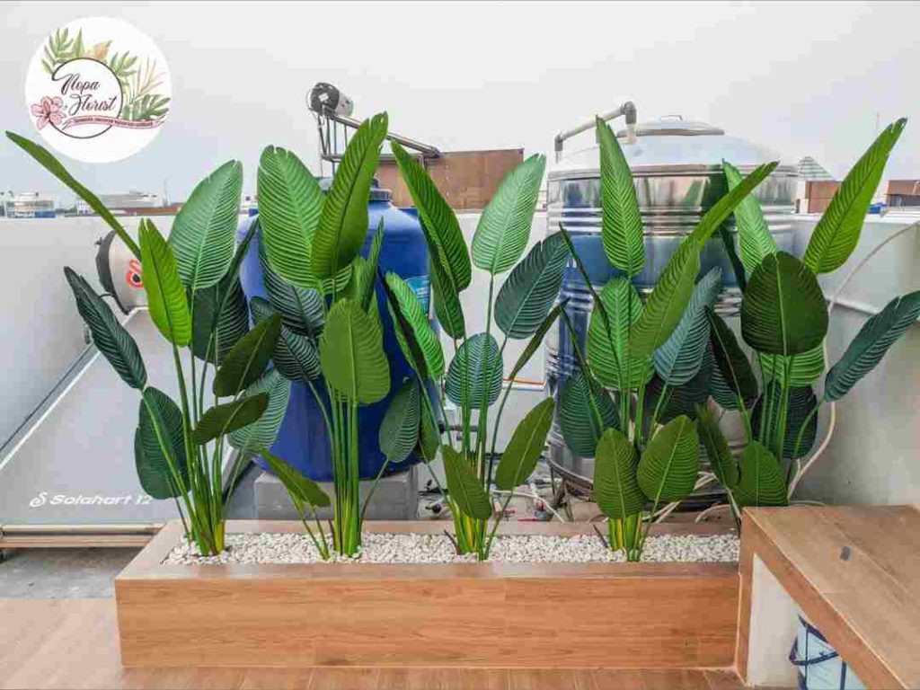 Pohon Pisang Imitasi Dekorasi Rooftop