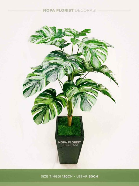 monstera variegata sintetis