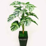 monstera variegata artificial