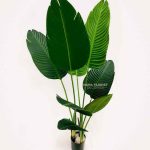 pohon pisang artificial grade a