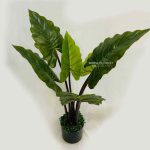 Pohon pohon philodendron sintetis