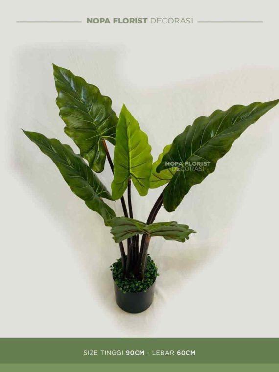 Pohon pohon philodendron sintetis