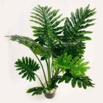 Philodendron Jari sintetis