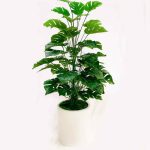 Pohon Monstera artificial