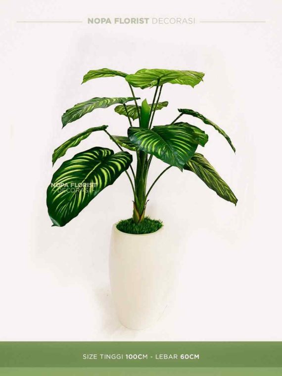 Pohon Calathea orbifolia Artificial