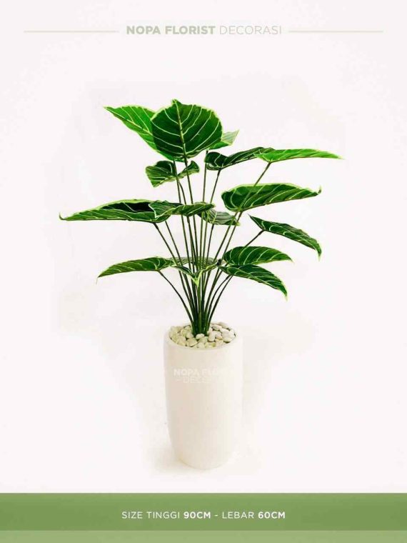 pohon Alocasia sintetis