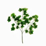 Daun maple hijau sintetis