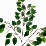 Daun Beringin Hijau plastik