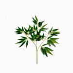 Daun bambu kuning latex sintetis