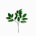 Daun Mangga list putih plastik