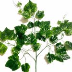 Daun Anggur Hijau tua plastik