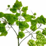 Daun Anggur Hijau Muda palsu