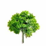 Daun Maple Gradasi artificial