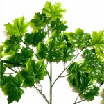 Daun Maple Gradasi tiruan