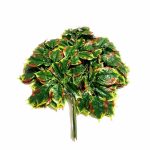 daun potos artificial