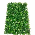 Rumput dolar 40x60 Artificial
