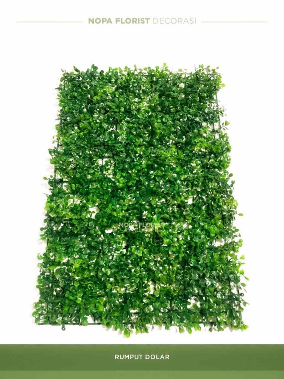 Rumput dolar 40x60 Artificial