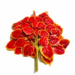 Daun Mangkokan orange artificial